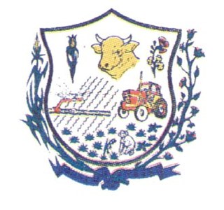 Brasão de Jaíba