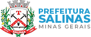 Brasão de Salinas