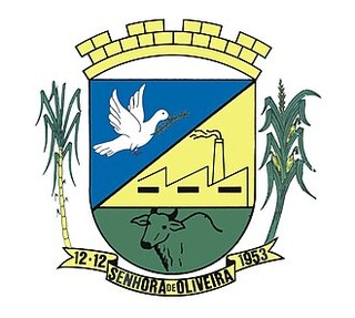 Brasão de Senhora de Oliveira